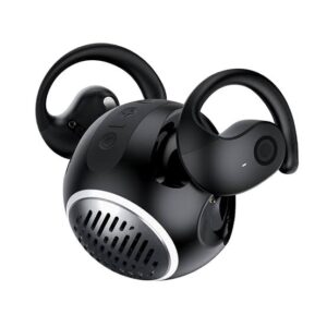 Speaker Earbuds (2*1)